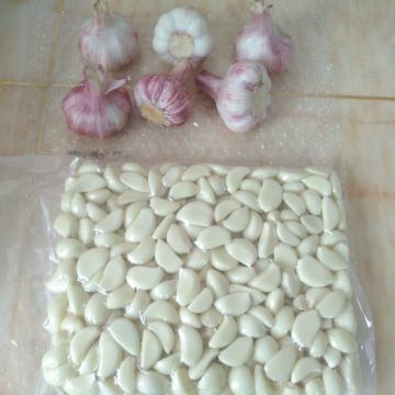 Garlic 2017 year china new crop garlic Puree/  Garlic  Clove/  Garlic  Meat