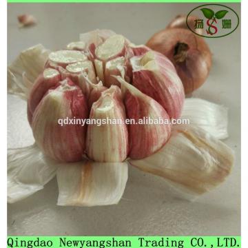 2017 2017 year china new crop garlic Chinese  Nature  Normal/Purple  Garlic  Price