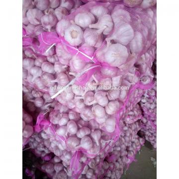 Fresh 2017 year china new crop garlic Garlic  Packing  In  Mesh  Bag For Sale In A Wholesale Price