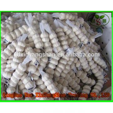 Fresh 2017 year china new crop garlic Garlic  For  Sale  China  Garlic Packing In Mesh Bag