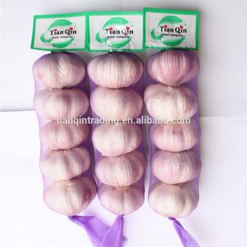 Purple 2017 year china new crop garlic garlic    
