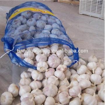 Chinese 2017 year china new crop garlic Garlic    