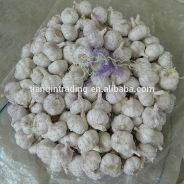Normal 2017 year china new crop garlic white  garlic   