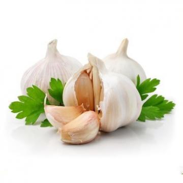 ISO 2017 year china new crop garlic Global  GAP  HACCP  KOSHER  JAS certification fresh style garlic