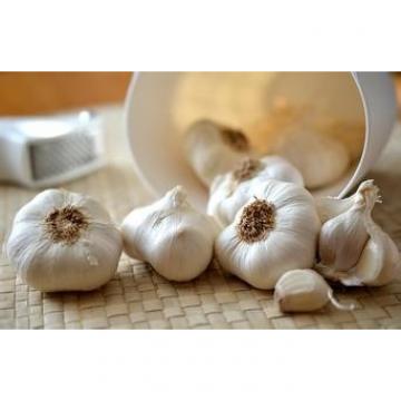 Organic 2017 year china new crop garlic normal  white  fresh  garlic 