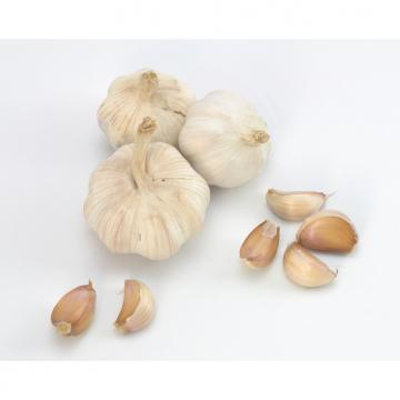 Cheap 2017 year china new crop garlic Wholesale  Natural  white  fresh  garlic with mesh bag or ctn