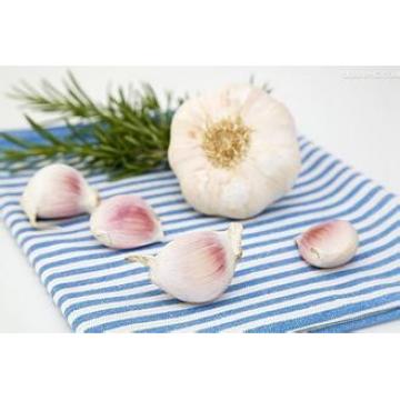 Chinese 2017 year china new crop garlic normal  white  fresh  garlic 