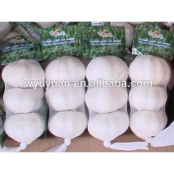 YUYUAN 2017 year china new crop garlic brand  hot  sail  fresh  garlic garlic packaging