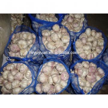 YUYUAN 2017 year china new crop garlic brand  hot  sail  fresh  garlic garlic juicer