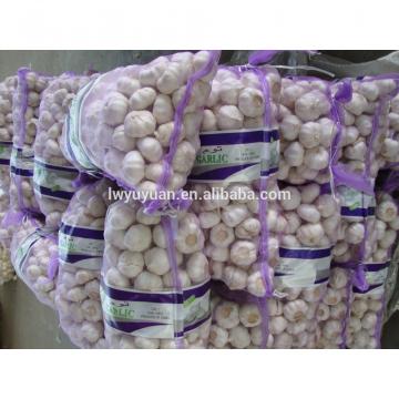 YUYUAN 2017 year china new crop garlic brand  hot  sail  fresh  garlic garlic grater plate wholesale
