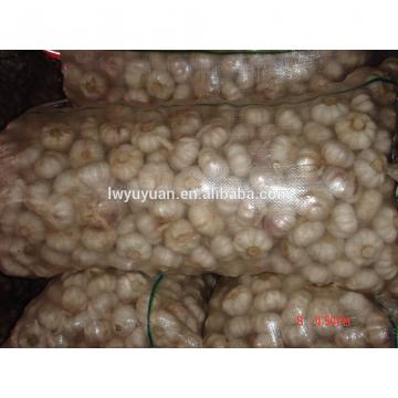 YUYUAN 2017 year china new crop garlic brand  hot  sail  fresh  garlic garlic extract liquid
