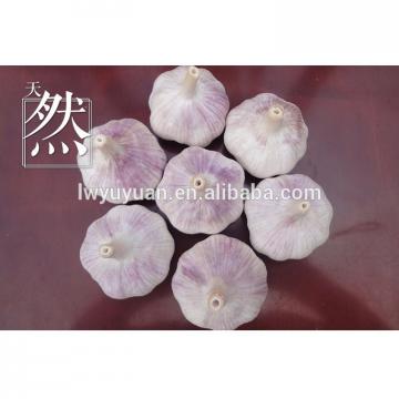 YUYUAN 2017 year china new crop garlic brand  hot  sail  fresh  garlic garlic fermenter