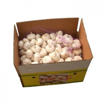 Alibaba 2017 year china new crop garlic high  quality  agricultural  product  chinese garlic with low price