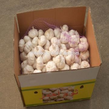 Normal 2017 year china new crop garlic white  and  pure  white  garlic