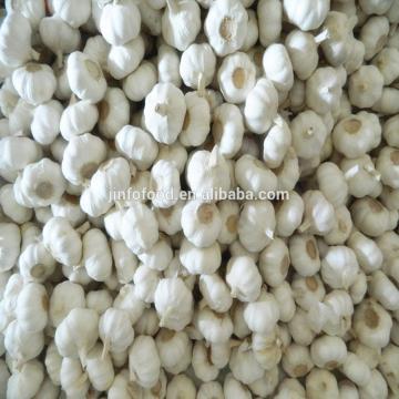 2017 2017 year china new crop garlic white  garlic   