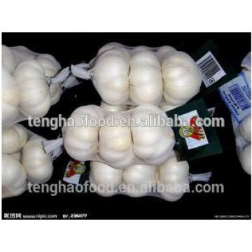 Best 2017 year china new crop garlic price  and  quality  2017  new crop of fresh Chinese garlic