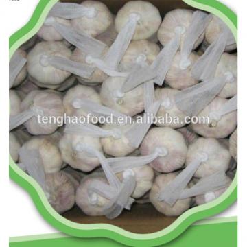 good 2017 year china new crop garlic quality  Chinese  fresh  garlic  for hot sales 4.5cm 5.0cm 5.5cm 6.0cm