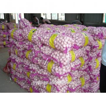 Chinese fresh galic suppliers with best price