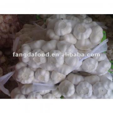 6.5 cm pure white garlic