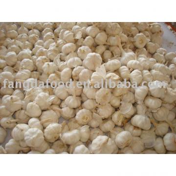 normal white chinese garlic