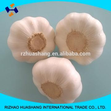 high quality white fresh garlic size4.0cm