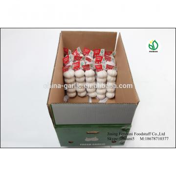 Fresh Ajo En Caja Price From China
