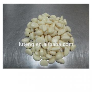 2014 Chinese vacuum packed fresh peeled garlic cloves
