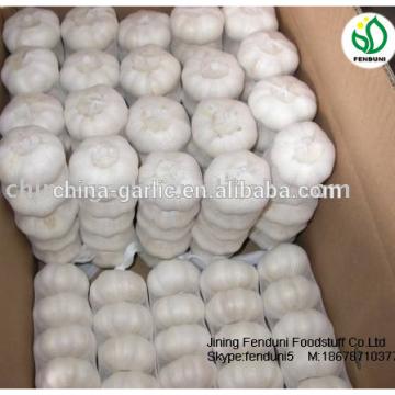2017 new crop China cheap garlic for wholesale