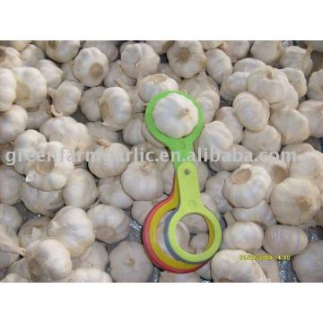 2017 chinese fresh garlic 5.0-6.0cm