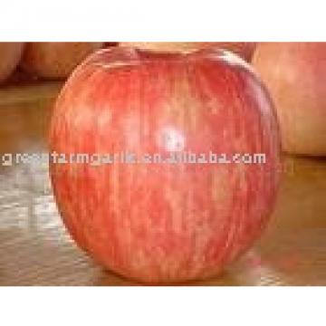 red fuji apple