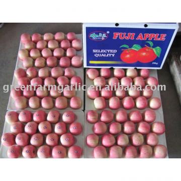 red apple in 20kg cartons