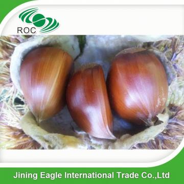 New crop Chinese fresh delicious chestnuts