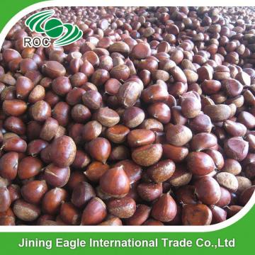 New crop Chinese fresh delicious chestnuts