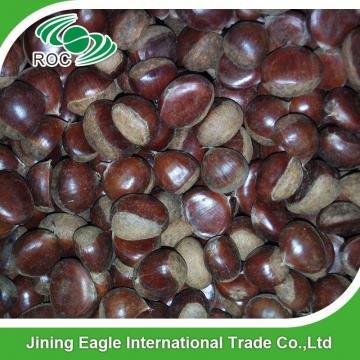 Fresh organic high quality chestnuts for sale
