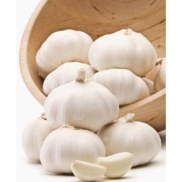 alibaba China normal white garlic price
