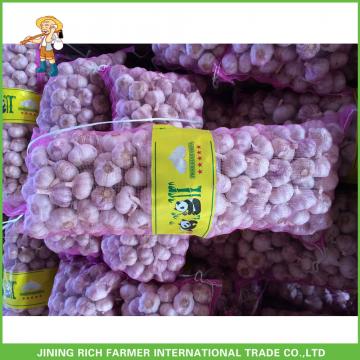 2017 Cheap Price High Quality New Fresh Normal White Garlic 5.0cm In 10KG Carton For Bangladesh
