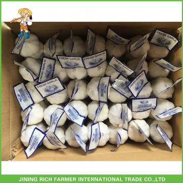 2017 Hot Sale Fresh Pure White Garlic 5.0cm /4p In 10 kg Mesh Bag For Sultan