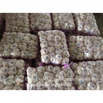 Chinese Fresh Normal White Garlic Processed in Garlic Factory for Sale