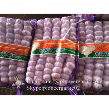 2017 New Crop 5cm Normal White Fresh Garlic 10kg Mesh Bag Packing