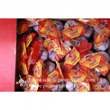 Small Packing 5.5-6cm Fresh Red Garlic Produced In Jinxiang Shandong China