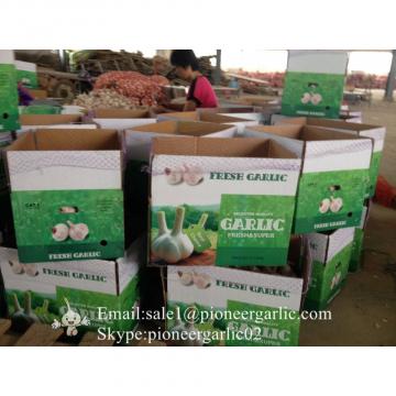 5-5.5cm Chinese Fresh Normal White Garlic In 5kg Carton Box Packing