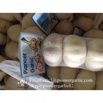 New Crop Chinese 5.5cm Snow White Fresh Garlic Small Packing In Box