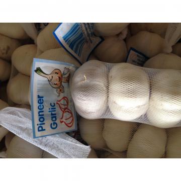 New Crop Chinese 4.5cm Snow White Fresh Garlic 3p small packing in box