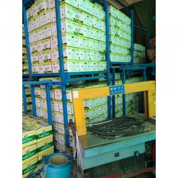 CHINA GARLIC ARE EXPORTED TO BRAASIL MARKET (GOODFARMER)