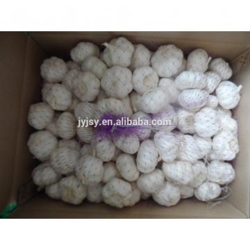 garlic of china superior quality and good price