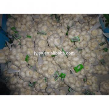 2017 fresh white garlic and nomal white garlic from china
