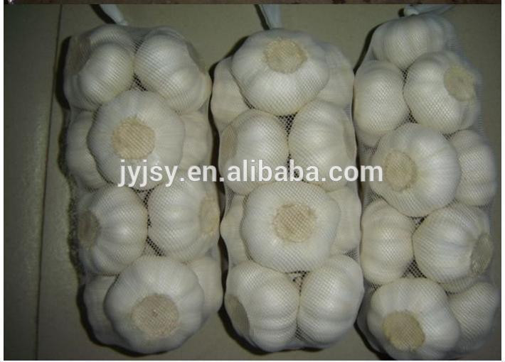 fresh garlic from china jixiang