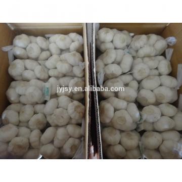 2017 china garlic for sale fresh garlic