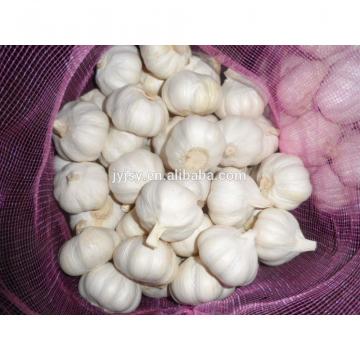 fresh garlic from china 2017