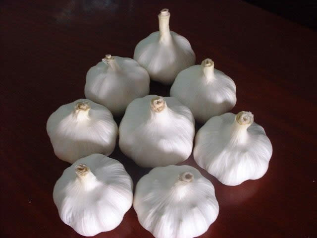 Cheap Garlic For Middle-east Market
